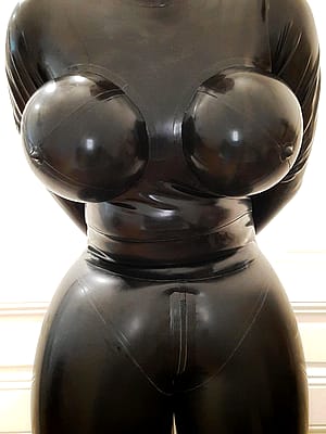 My New Inflatable Catsuit'