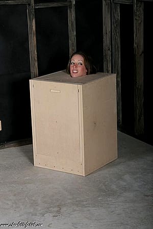 Box'